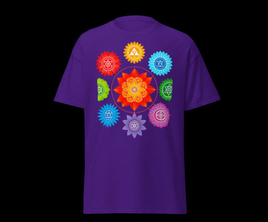 Manifest chakra everyday T-shirt